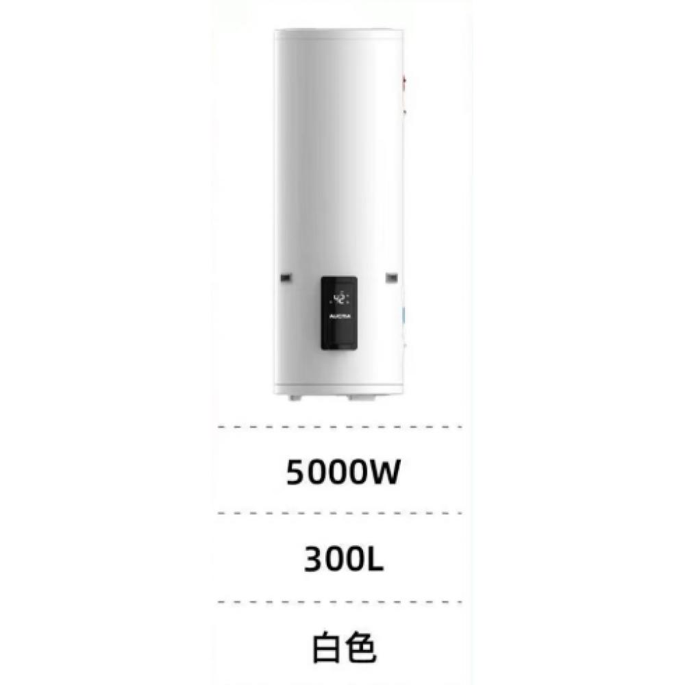 澳柯玛300升...